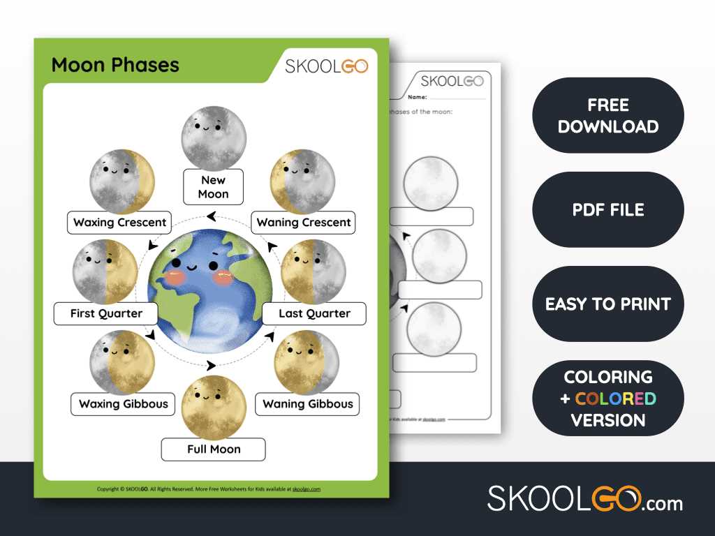 moon cycle worksheet