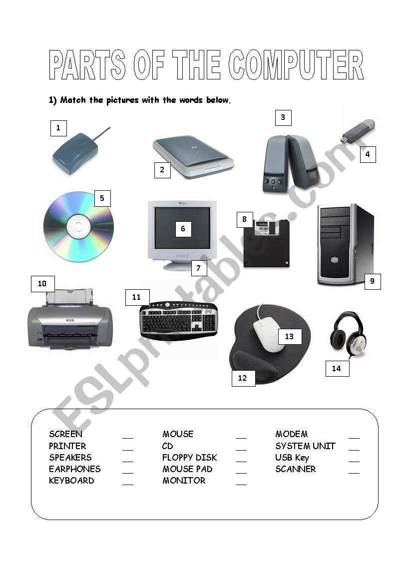 worksheet parts of computer