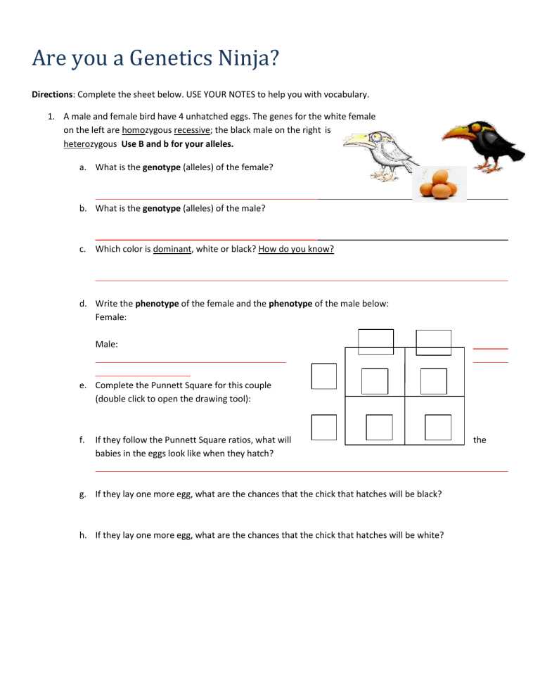genetics problems worksheet