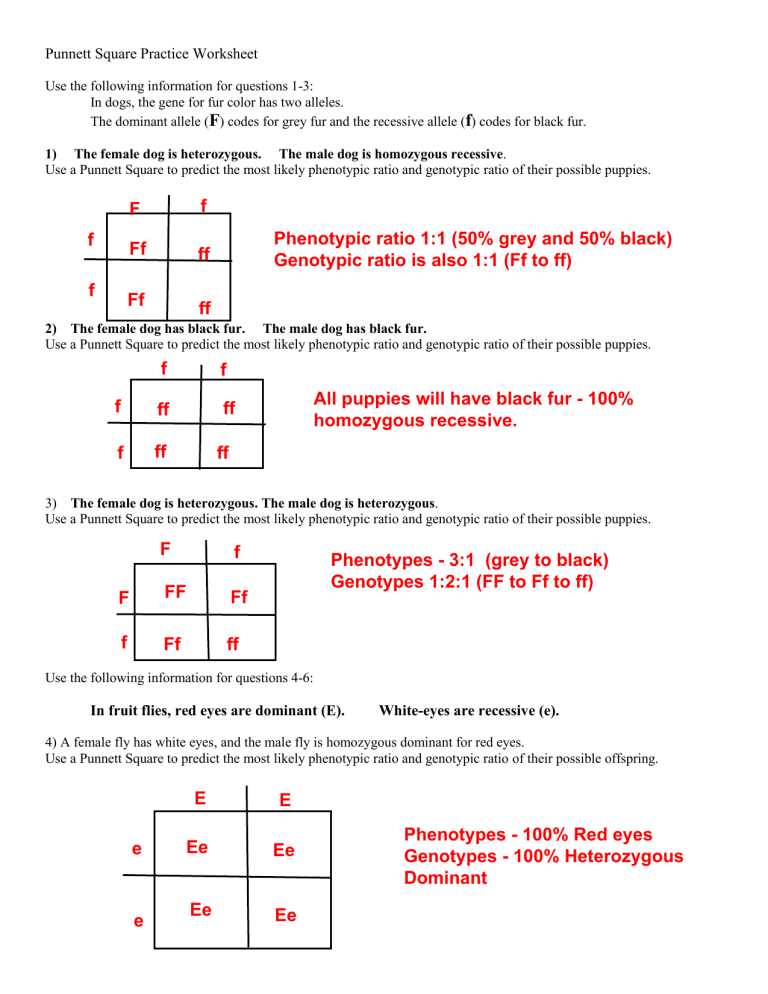 genotype vs phenotype worksheet