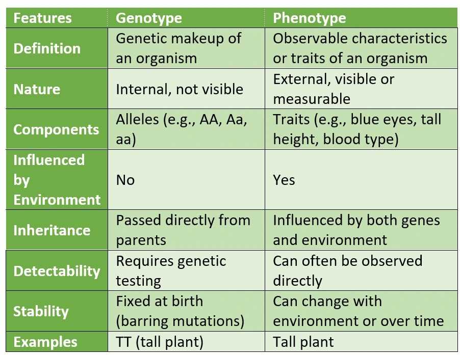 genotype vs phenotype worksheet
