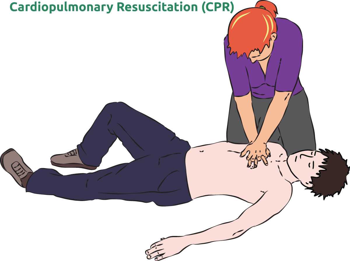 cpr worksheet