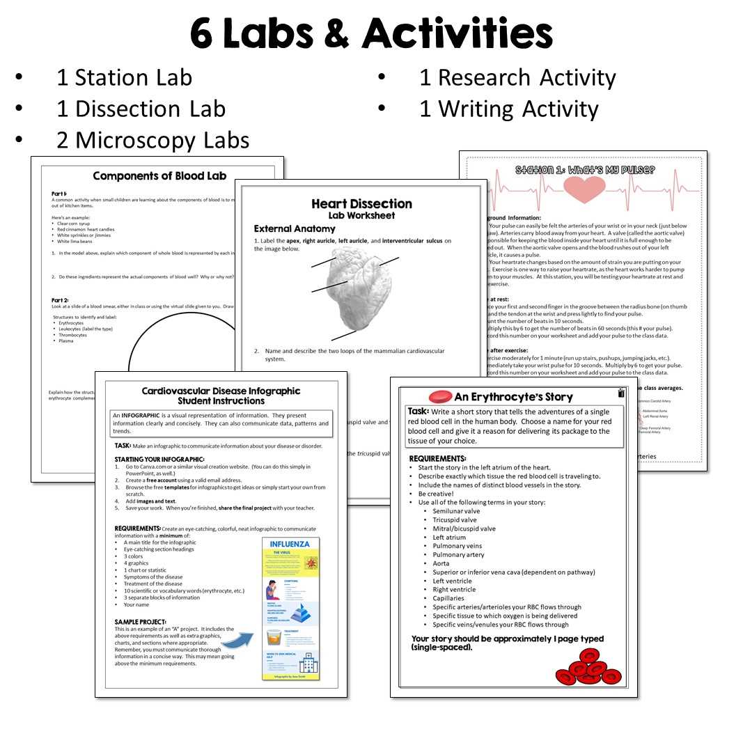 cardiovascular case study worksheet