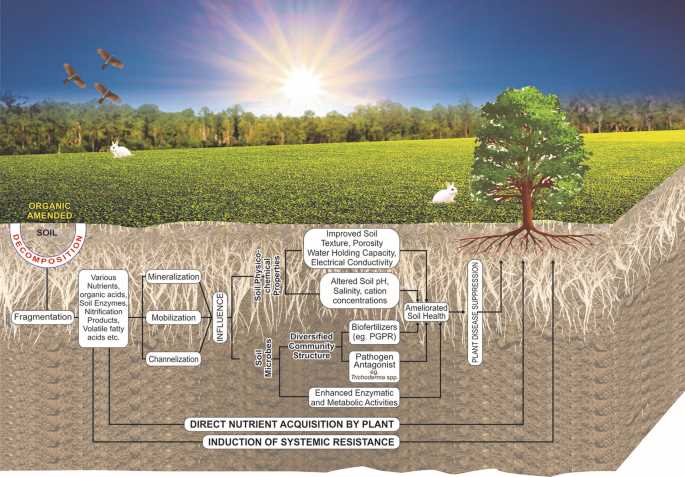 fertilizers and soil amendments worksheet