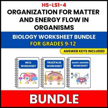 flow of matter and energy worksheet