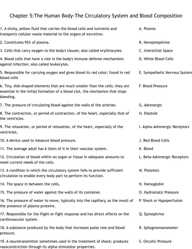 circulatory system parts and functions worksheet