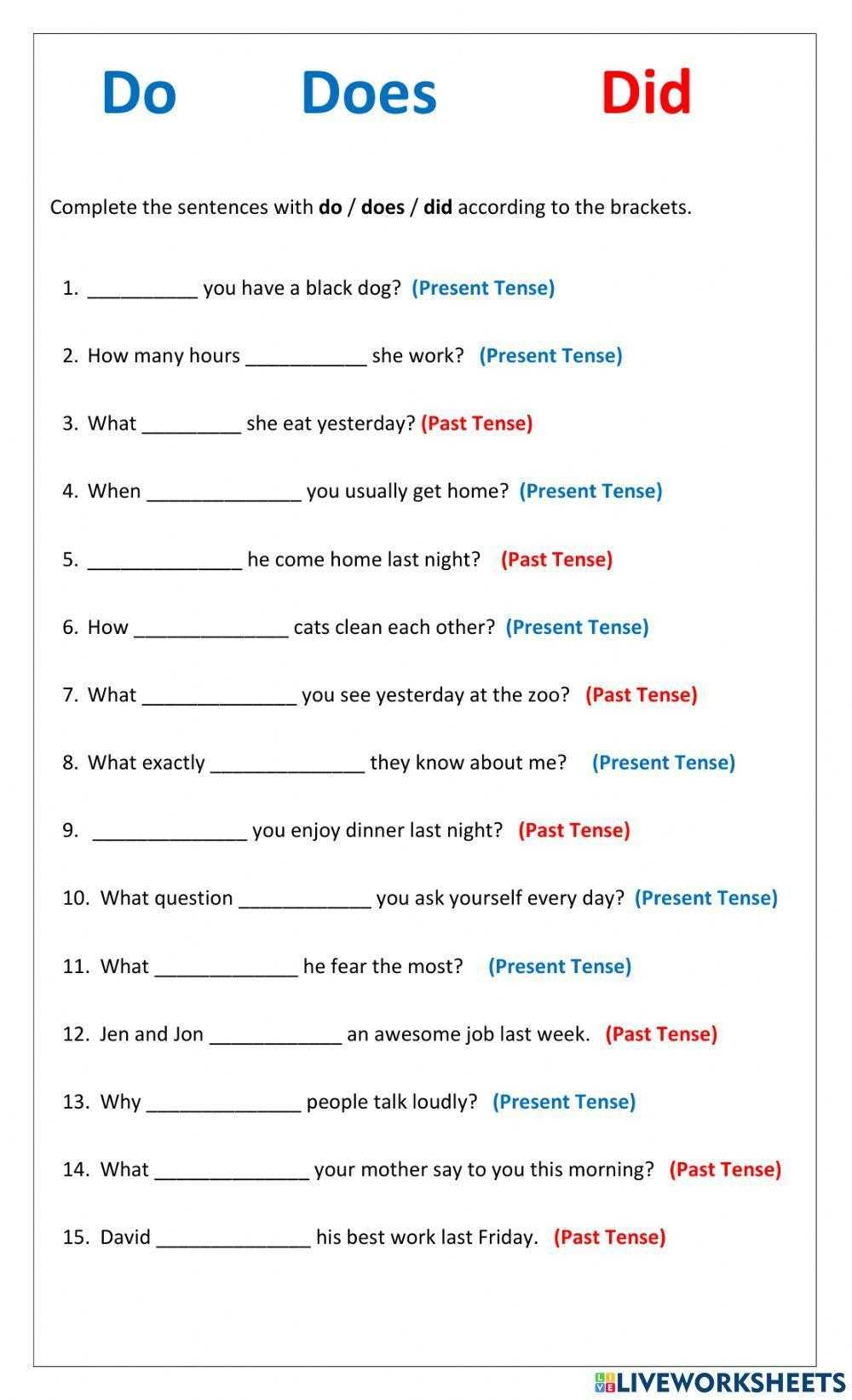 do does did worksheet