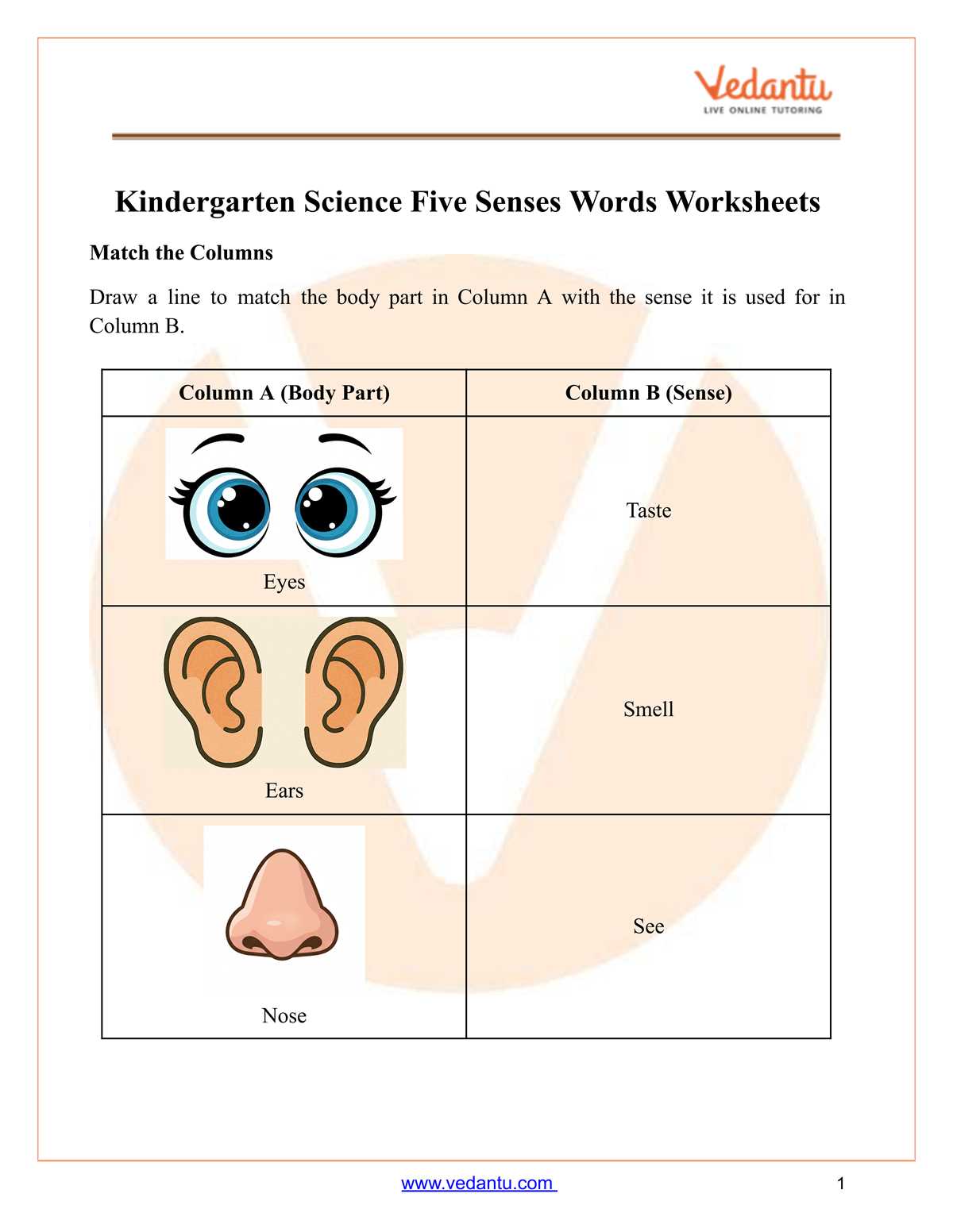 five senses worksheet for kindergarten