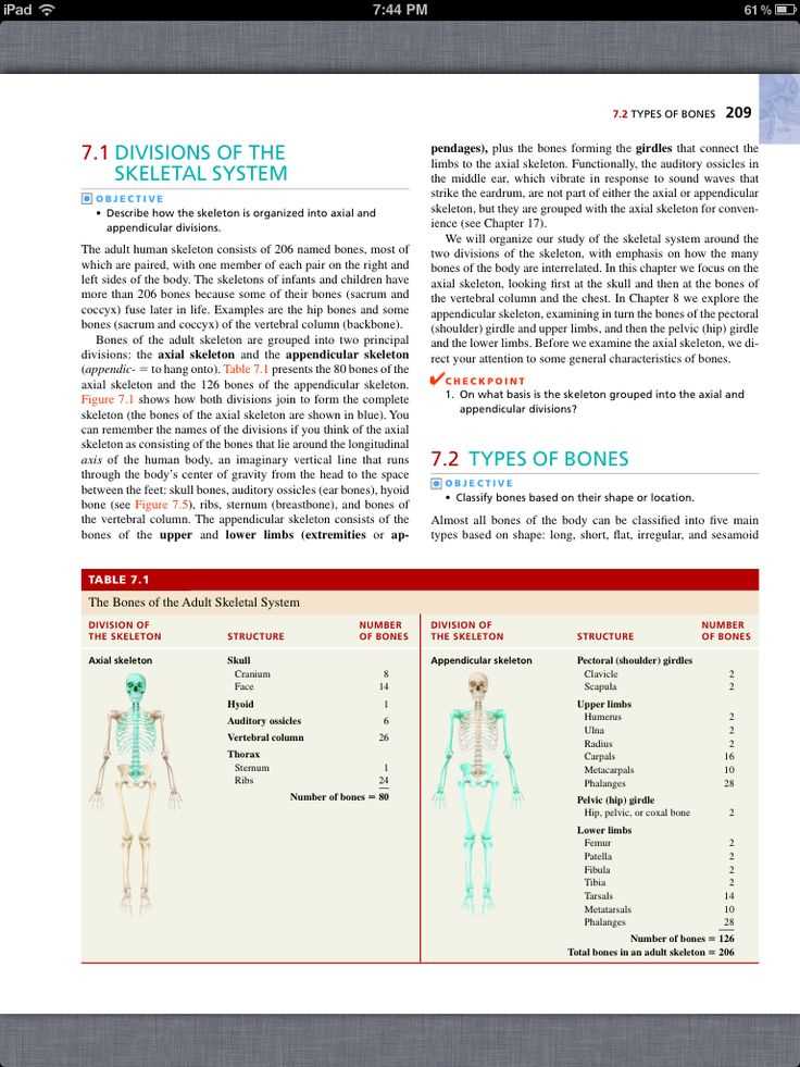 chapter 7 the skeletal system worksheet chapter 7 the skeletal system worksheet
