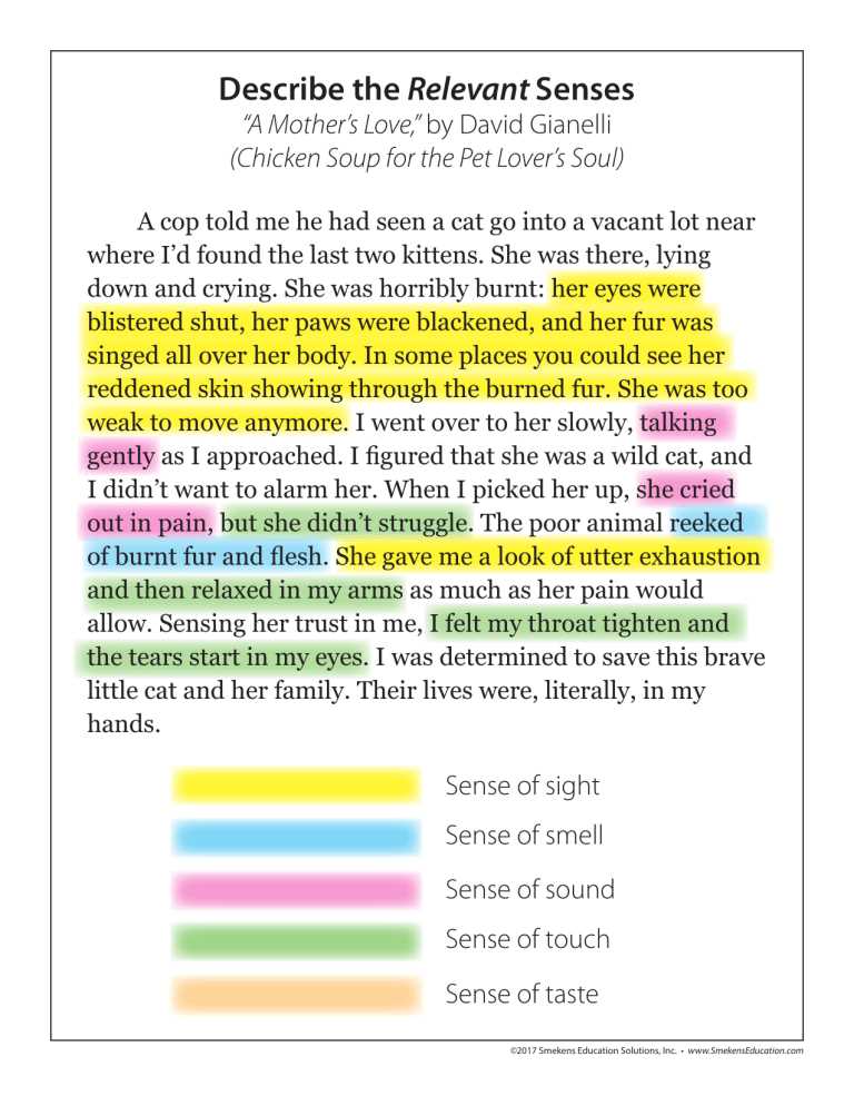 sensory details worksheet