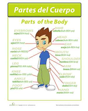 spanish worksheets body parts