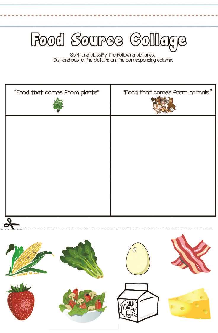 food from plants and animals worksheets for kindergarten