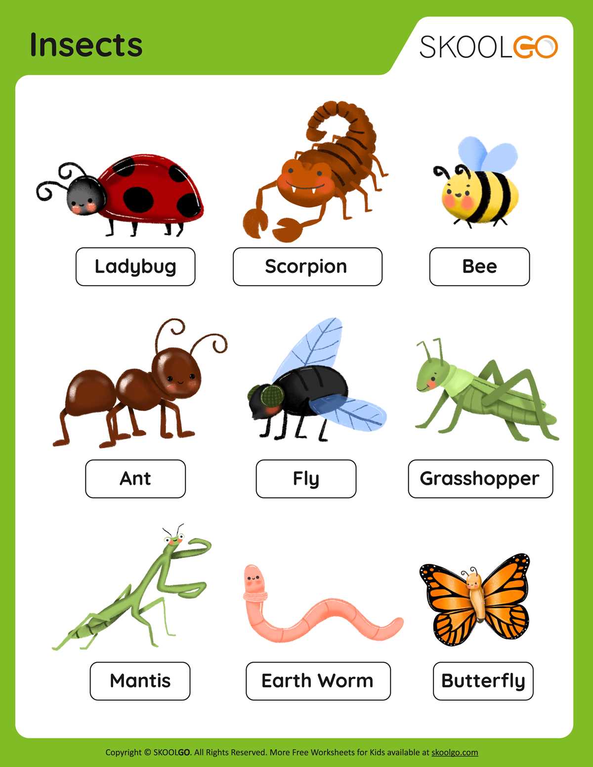 bugs worksheet for kindergarten