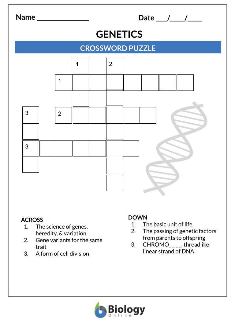 chromosome genes and dna worksheet