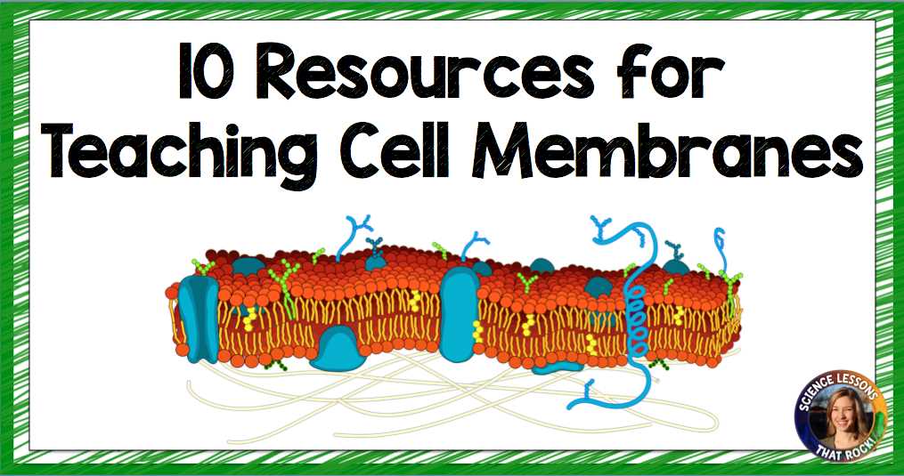 cell membrane color worksheet