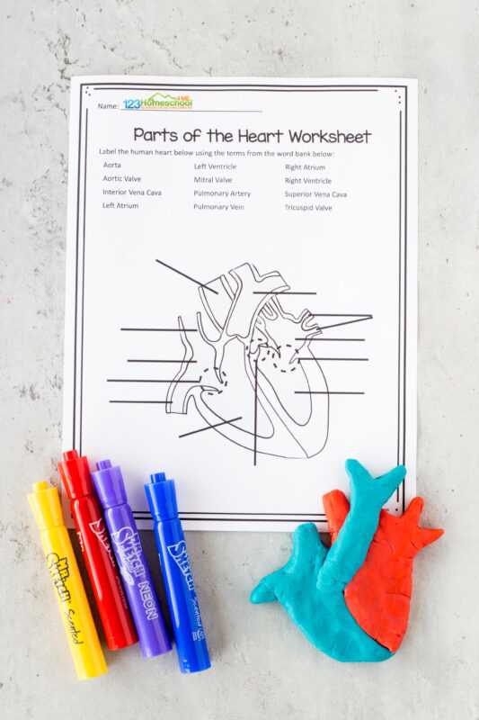heart label worksheet