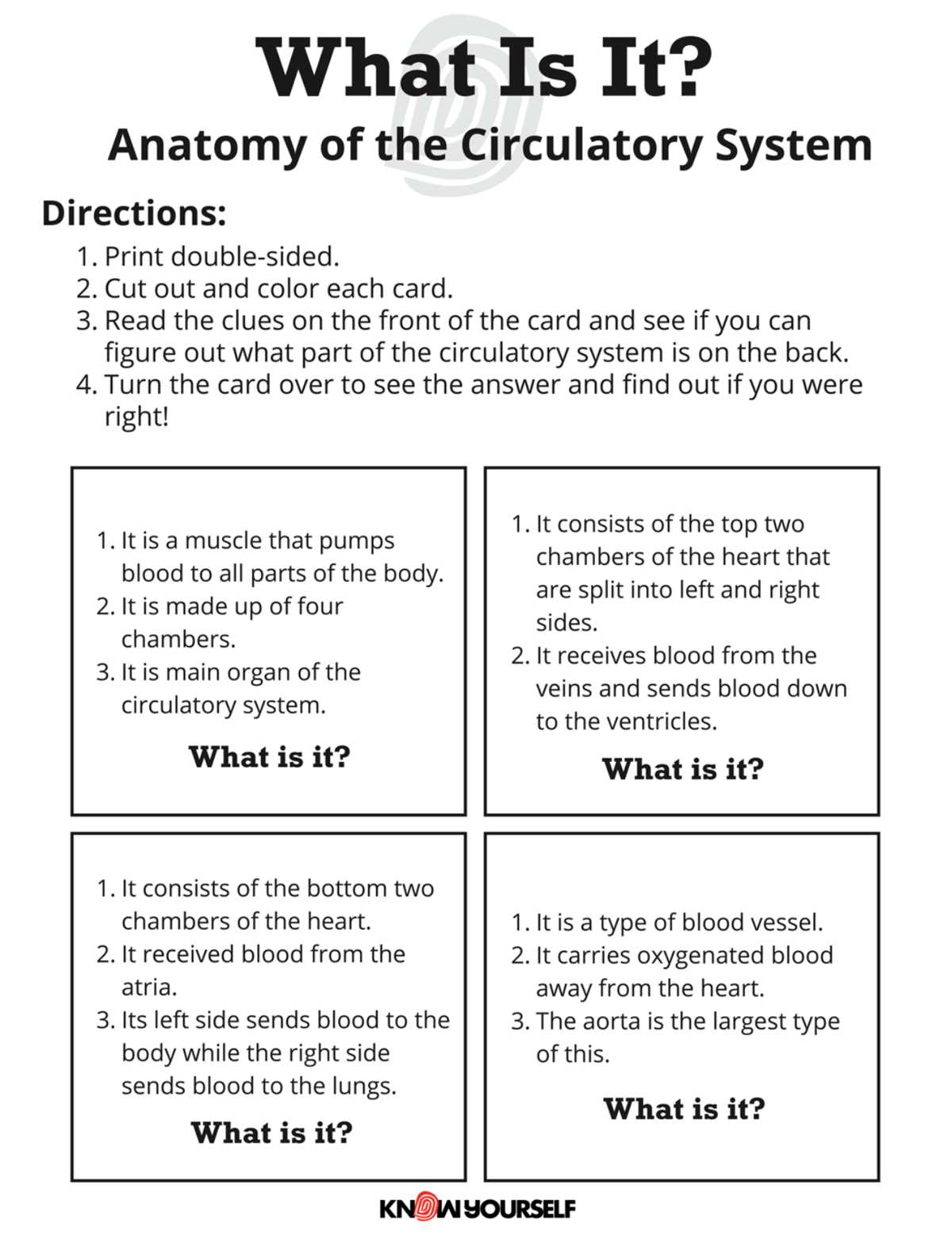 circulatory system worksheet key