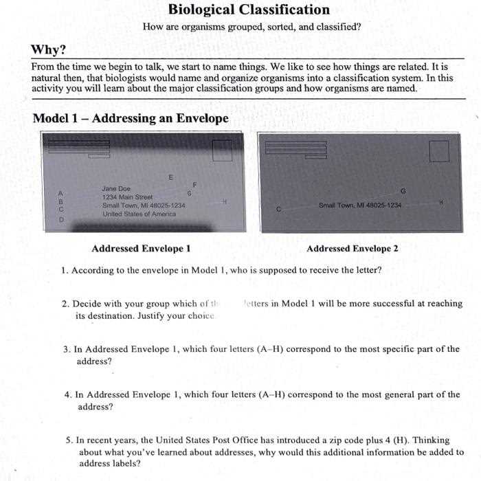 biological classification worksheet key