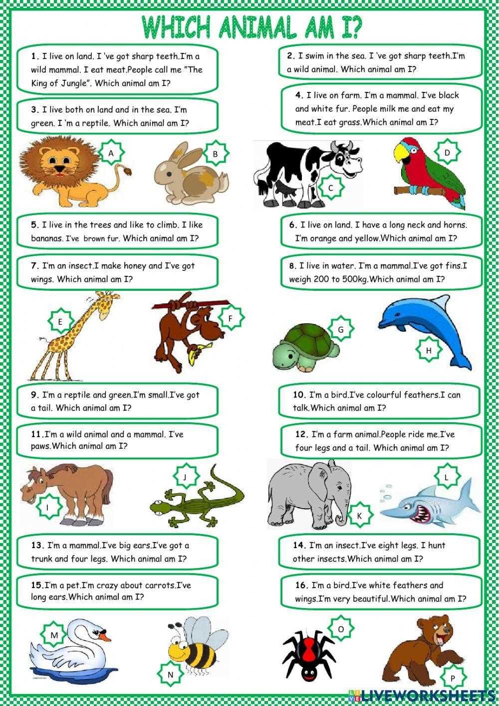 describe animals worksheets