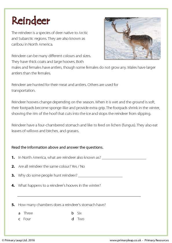 holiday reading comprehension worksheets free