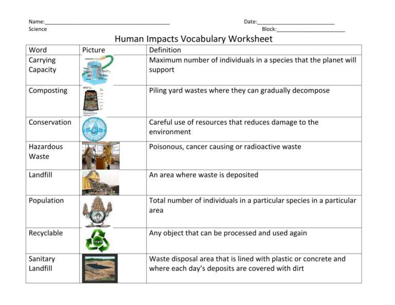 human impact on the environment worksheet
