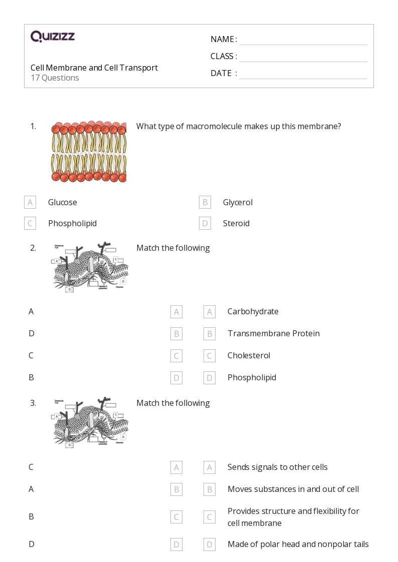cell membrane transport systems worksheet cell membrane transport systems worksheet