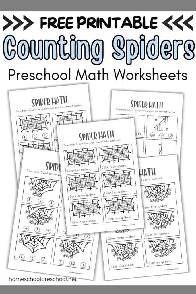 counting spiders worksheet