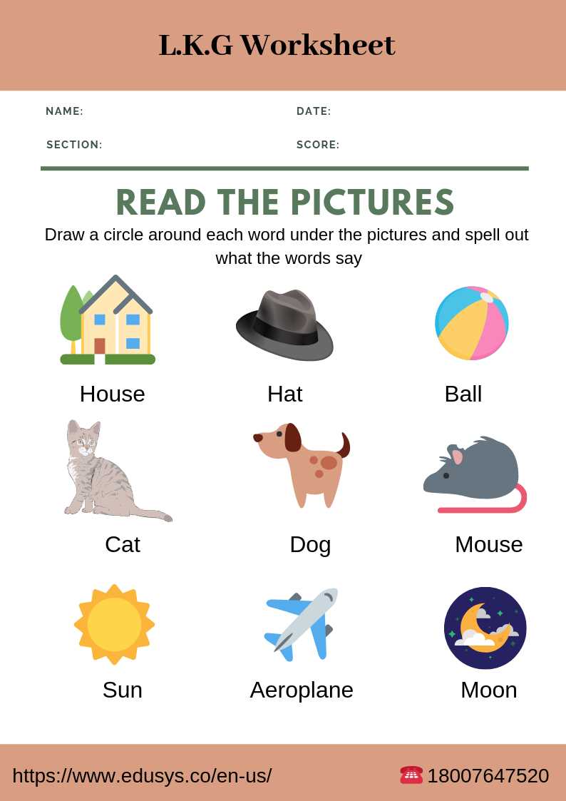 english worksheet for kg english worksheet for kg