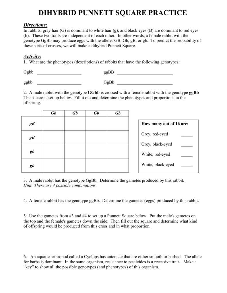 dihybrid crosses worksheet