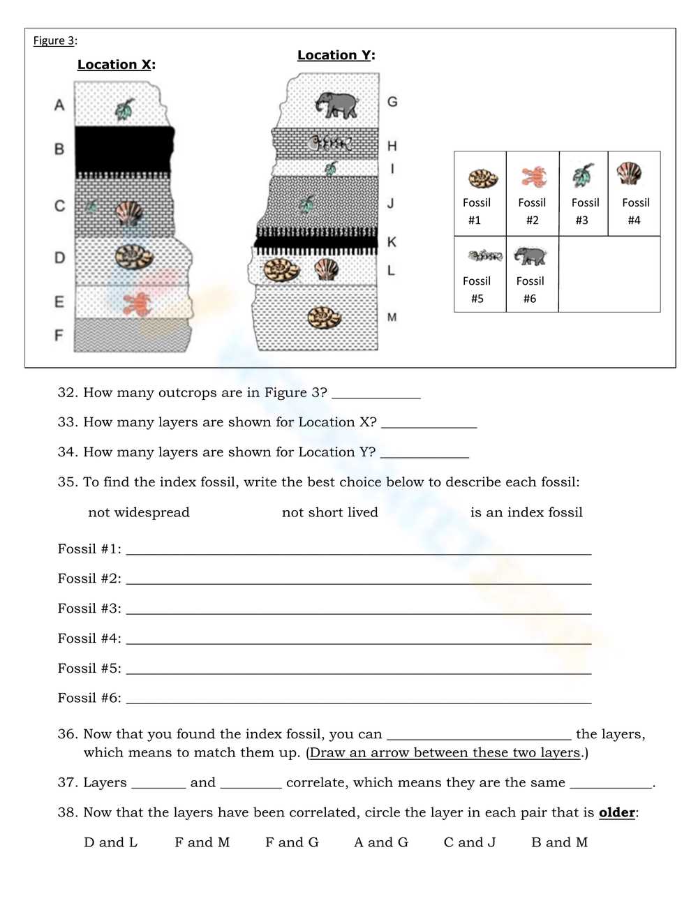index fossil worksheet