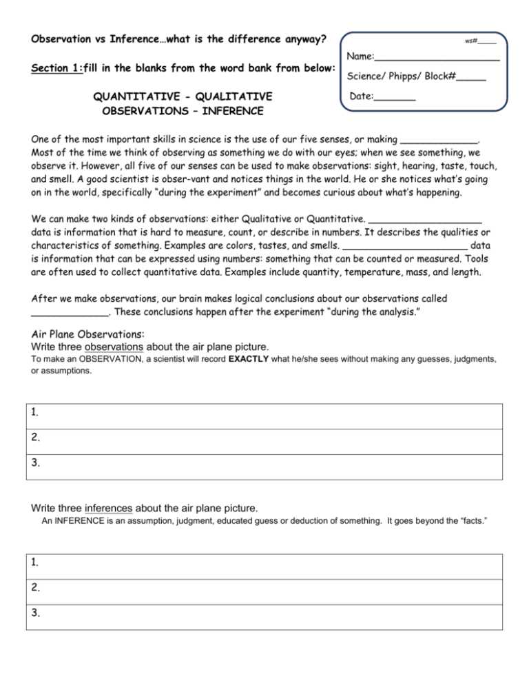 inferences and observations worksheet