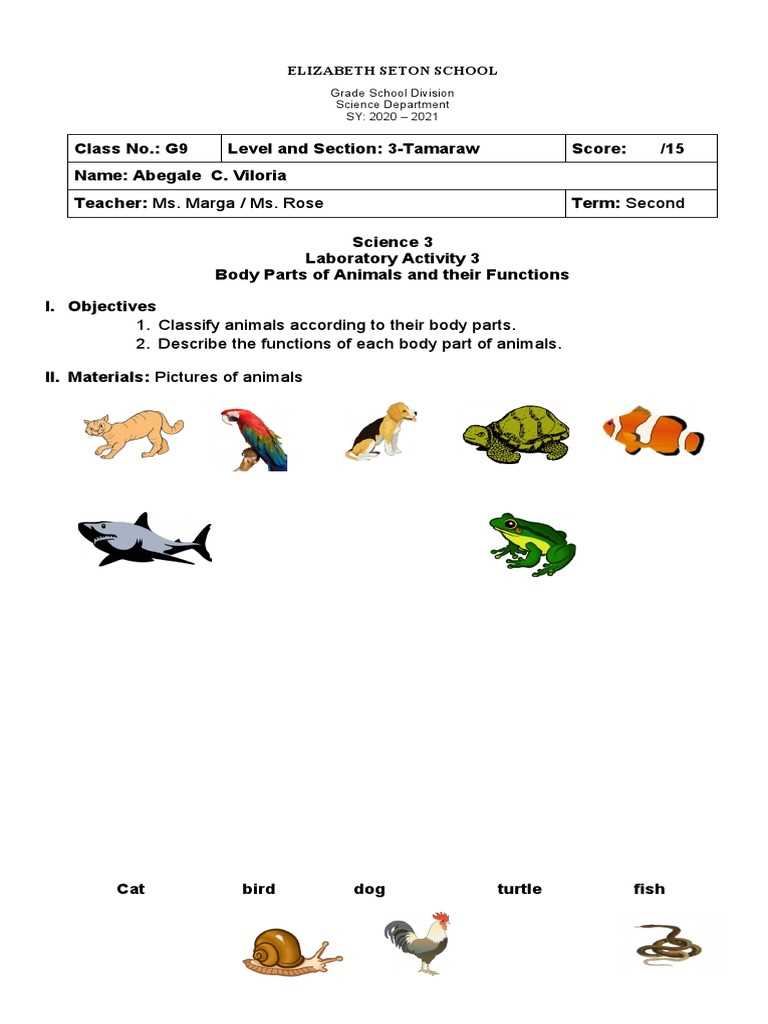 body parts and function worksheet