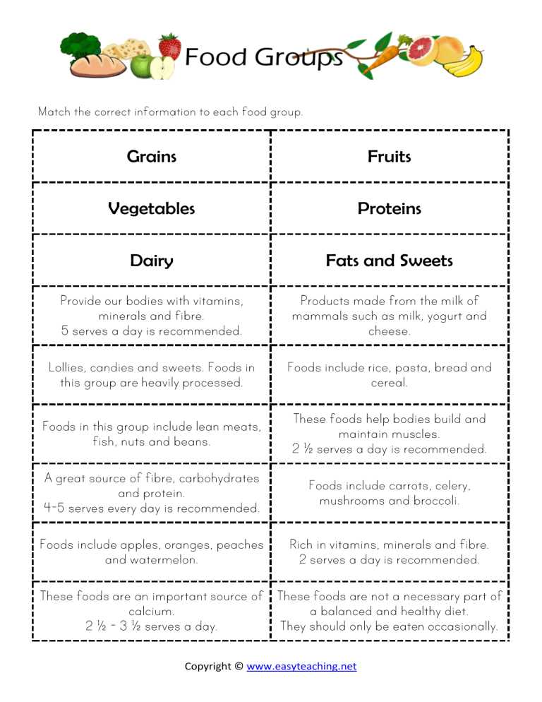 food groups worksheet
