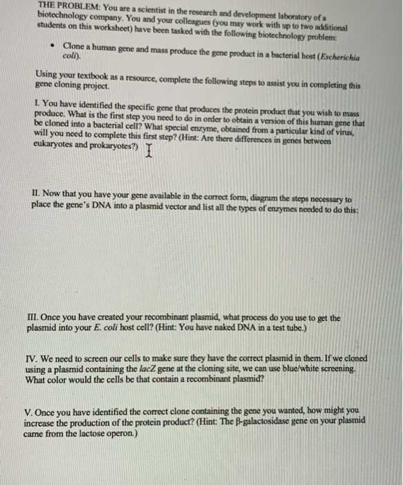 cloning activity worksheet