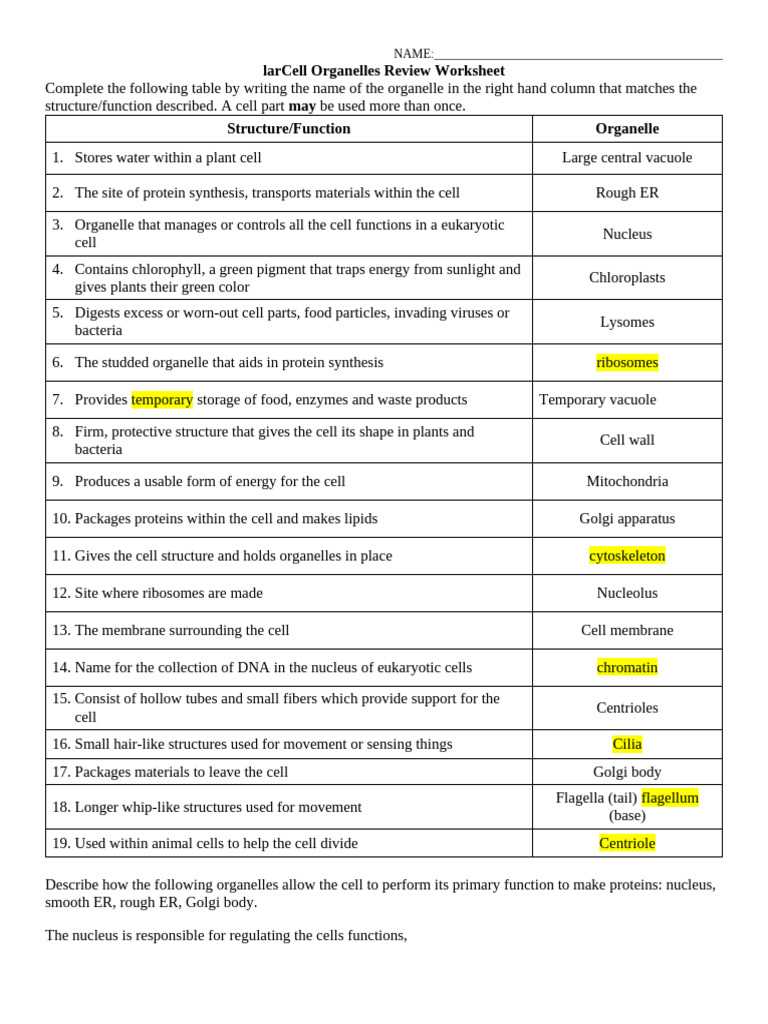 cell organelle research worksheet