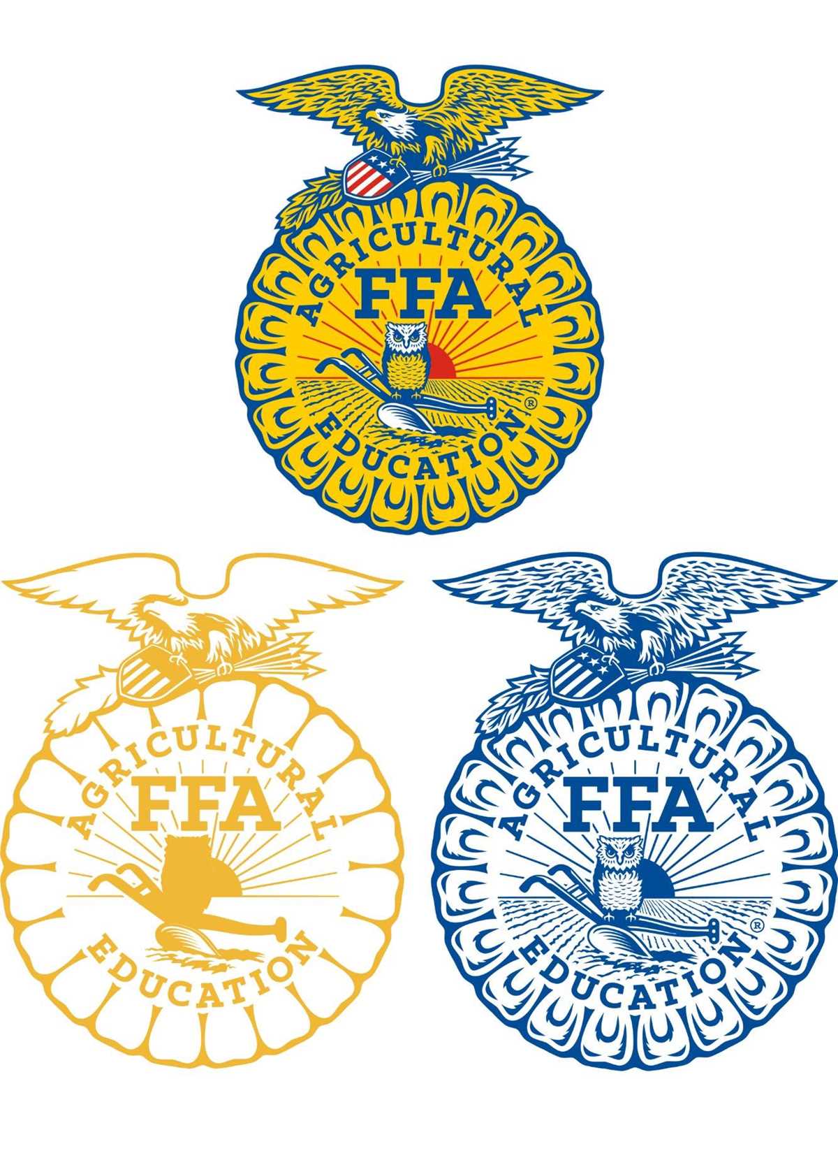 ffa emblem worksheet
