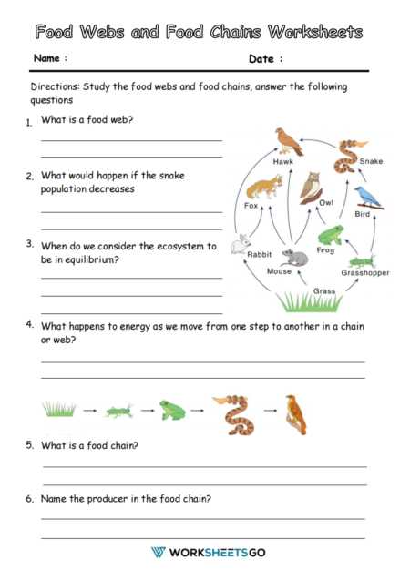 6th grade science worksheets