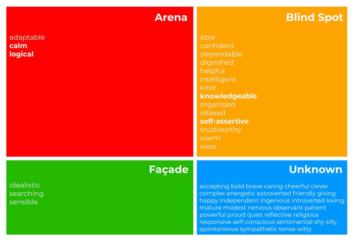 johari window worksheet