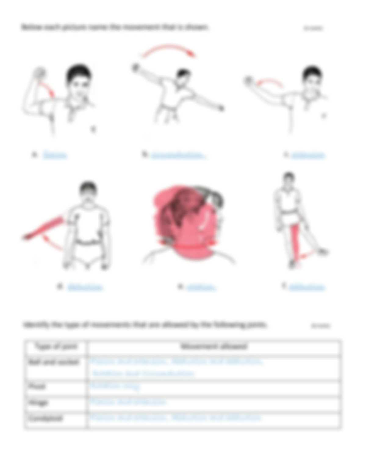 joints & movement worksheet