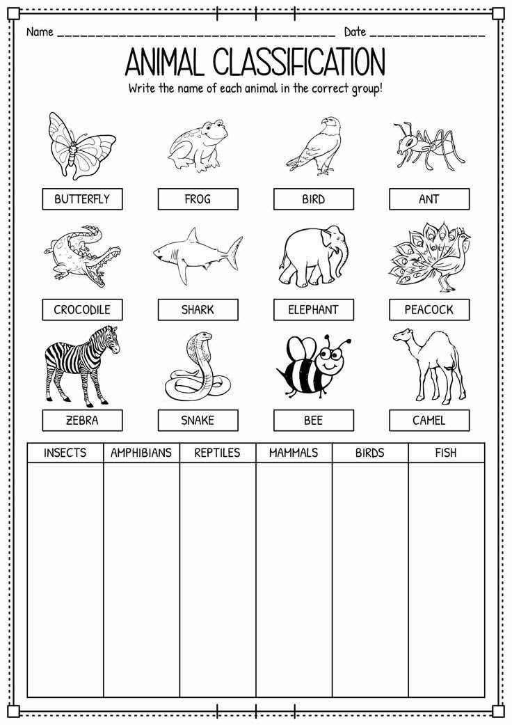 animals classification worksheet