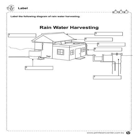 basic science worksheet for class 6