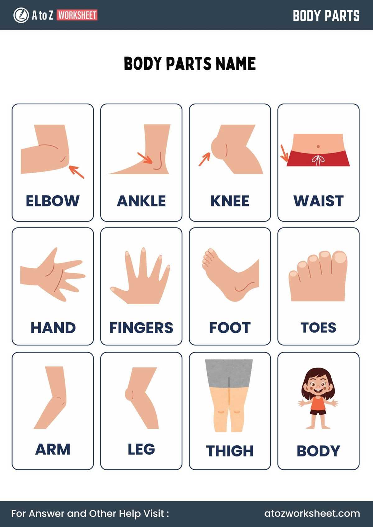 kindergarten body parts worksheet