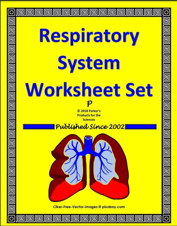 crash course respiratory system worksheet