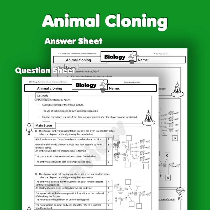 cloning activity worksheet