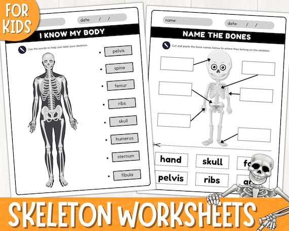 bones worksheets