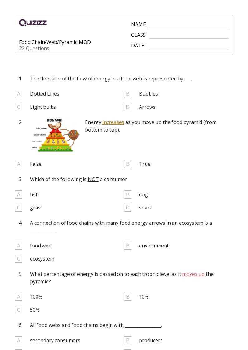 food chain food web and energy pyramid worksheet