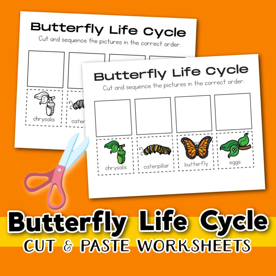life cycle of a butterfly worksheets