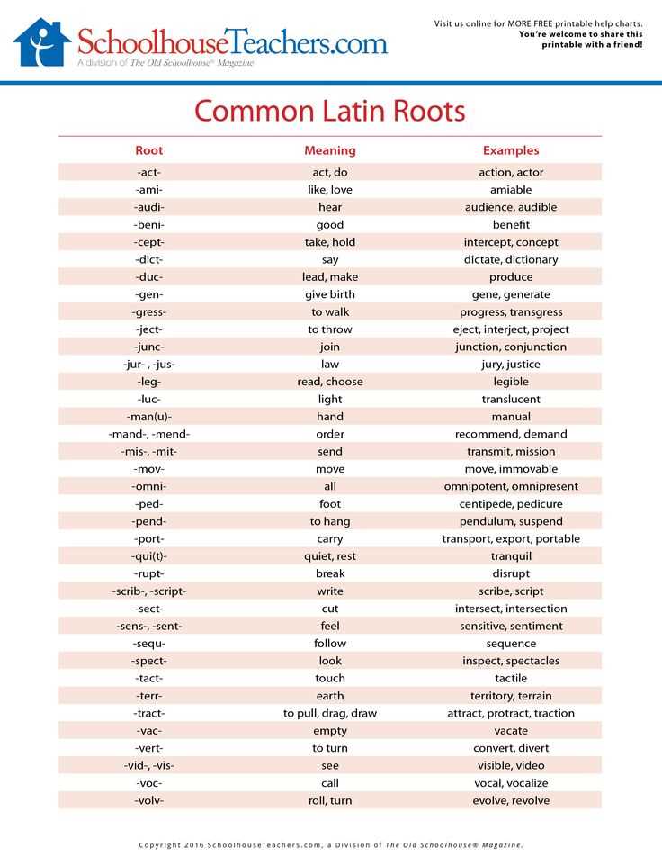 latin root words worksheet
