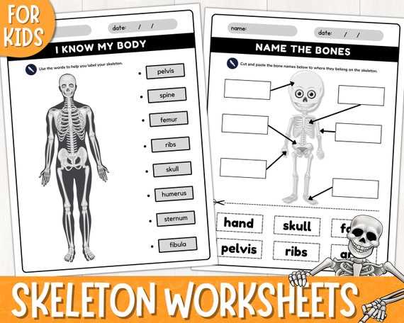 label a skeleton worksheet