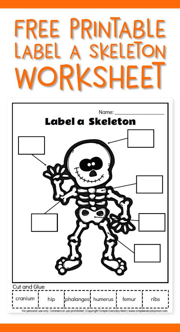label the skeleton worksheet